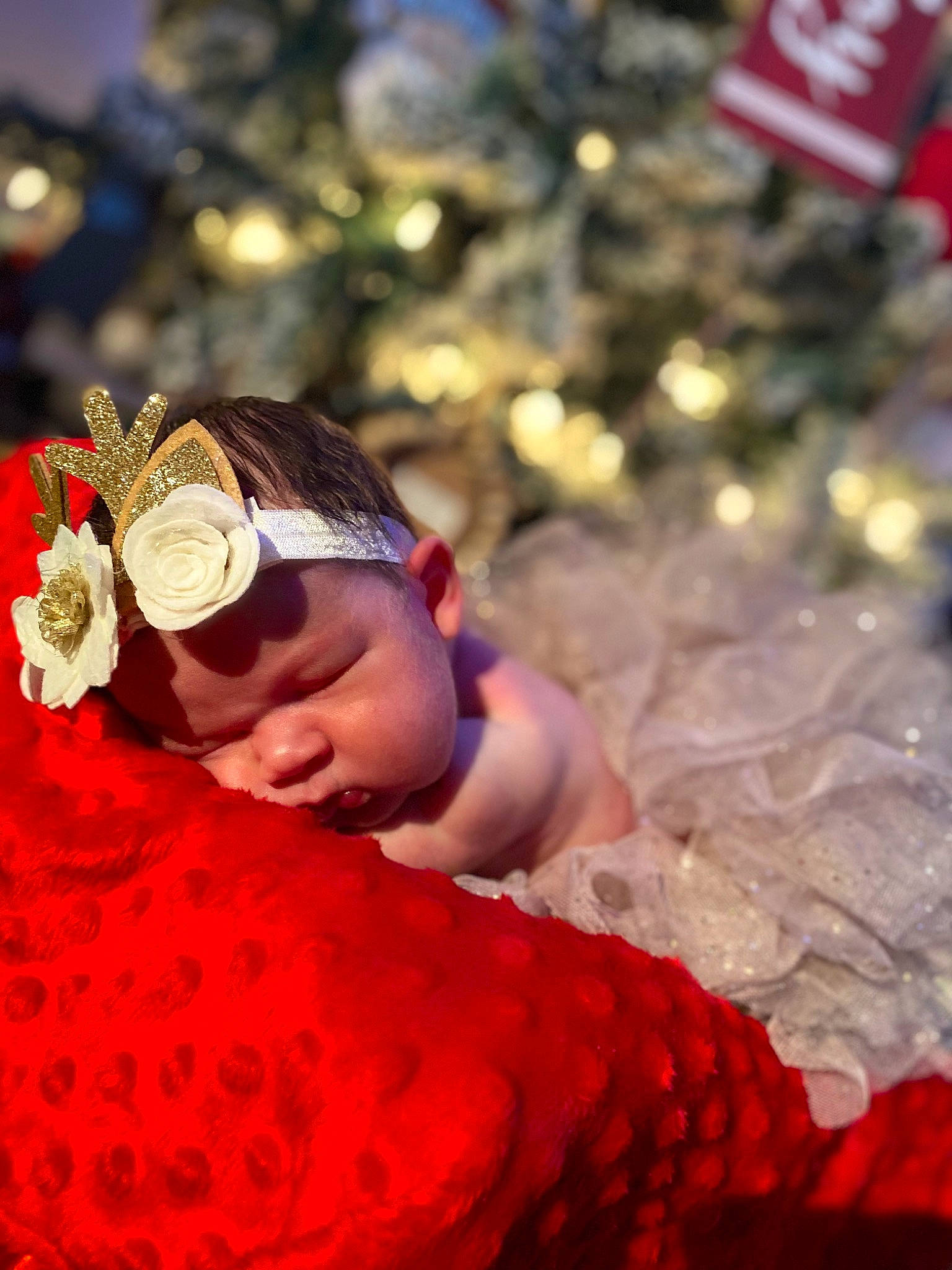 Aspen is registered to the contest to win money with this photo: baby, carmine, child, christmas_decoration, christmas_ornament, event, fashion_accessory, flash_photography, flower, fun, happy, headpiece, headwear, holiday, magenta, people_in_nature, person, petal, plant, toddler