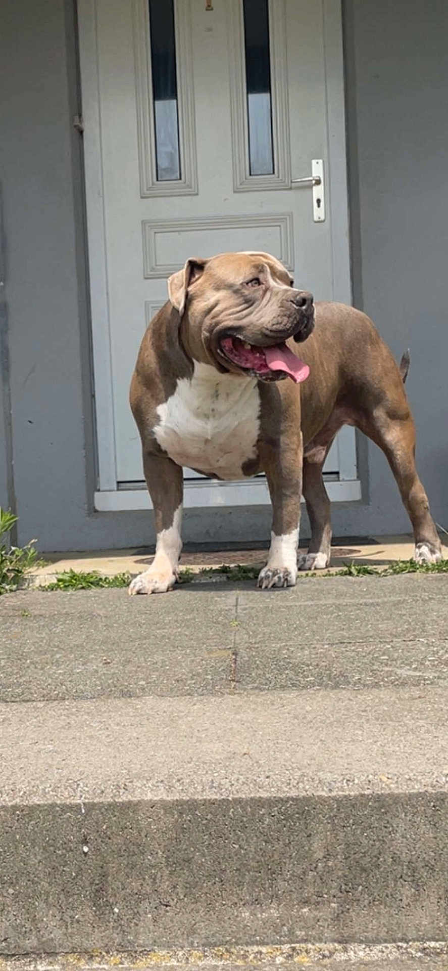Gueko