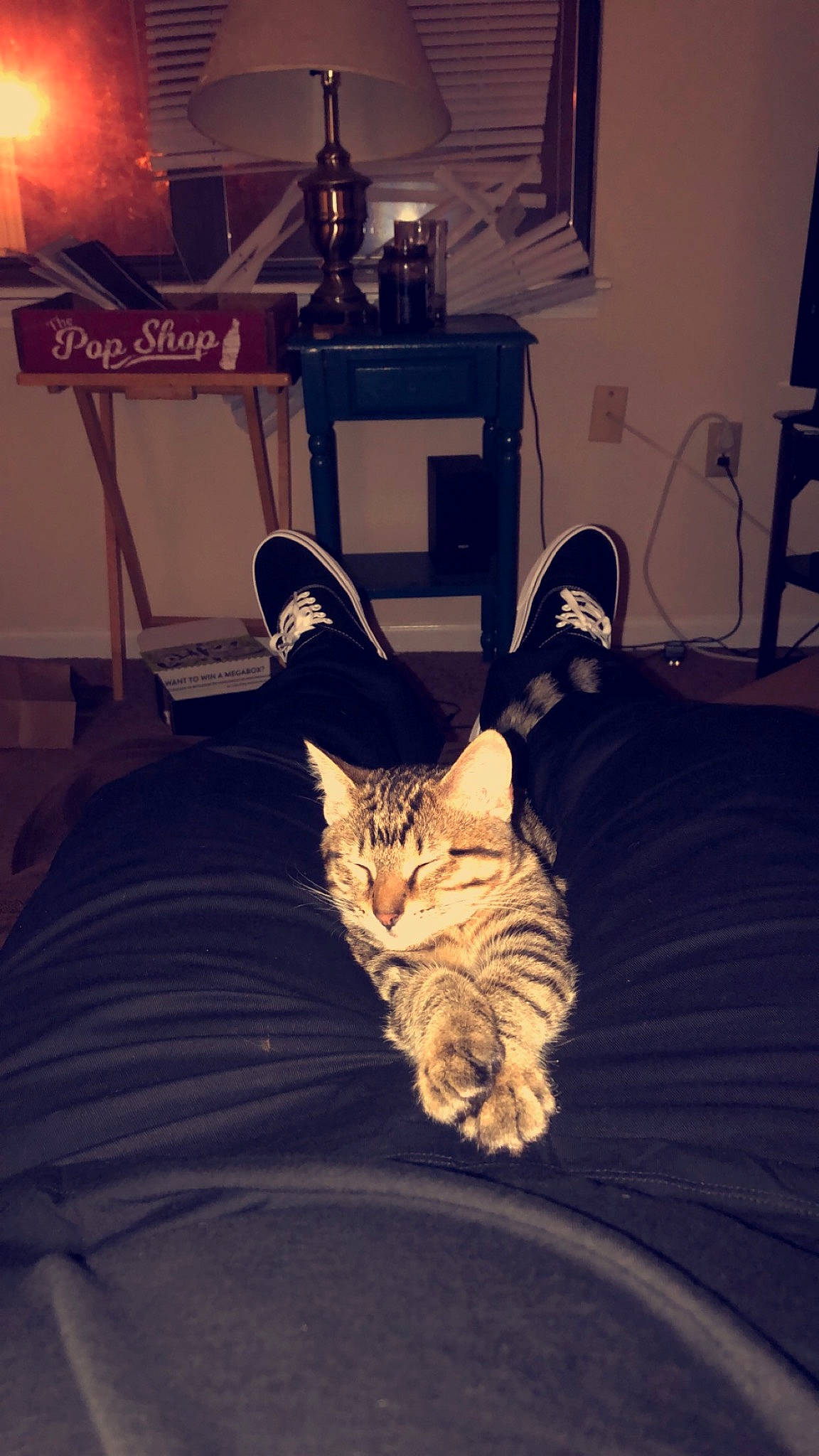 Cashew is registered to the contest to win money with this photo: carnivore, cat, comfort, couch, fawn, felidae, floor, flooring, fur, hardwood, human_leg, lamp, leg, linens, picture_frame, room, small_to_medium_sized_cats, tail, whiskers, wood