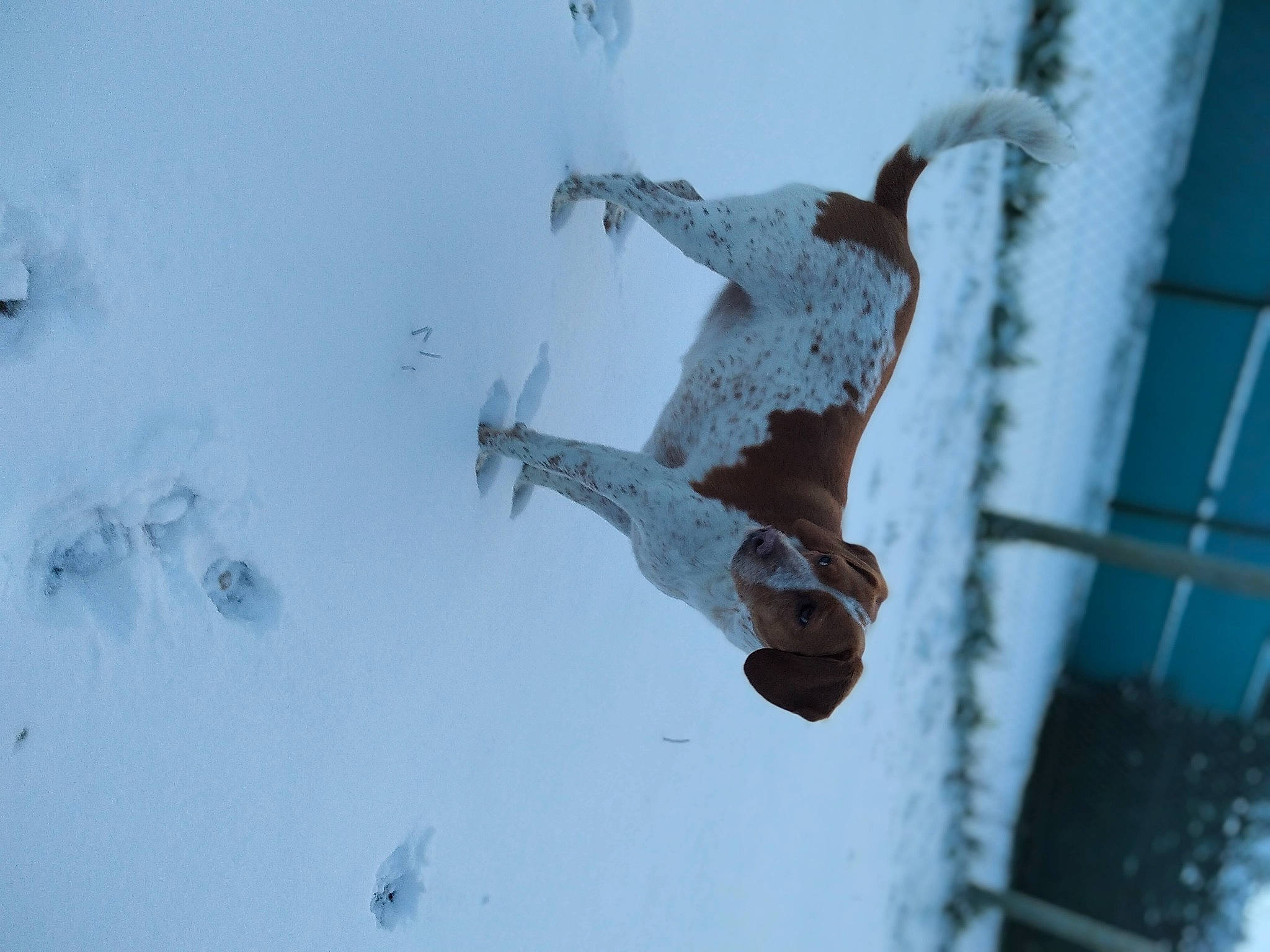 Minnie a rejoint le concours — aidez-le/la à gagner de superbes lots ! adventure, arctic, door, extreme_sport, eyewear, freezing, frost, glacial_landform, ice_cap, individual_sports, precipitation, recreation, slope, snow, snowboarding, sporting_group, sports, sports_equipment, winter, winter_sport