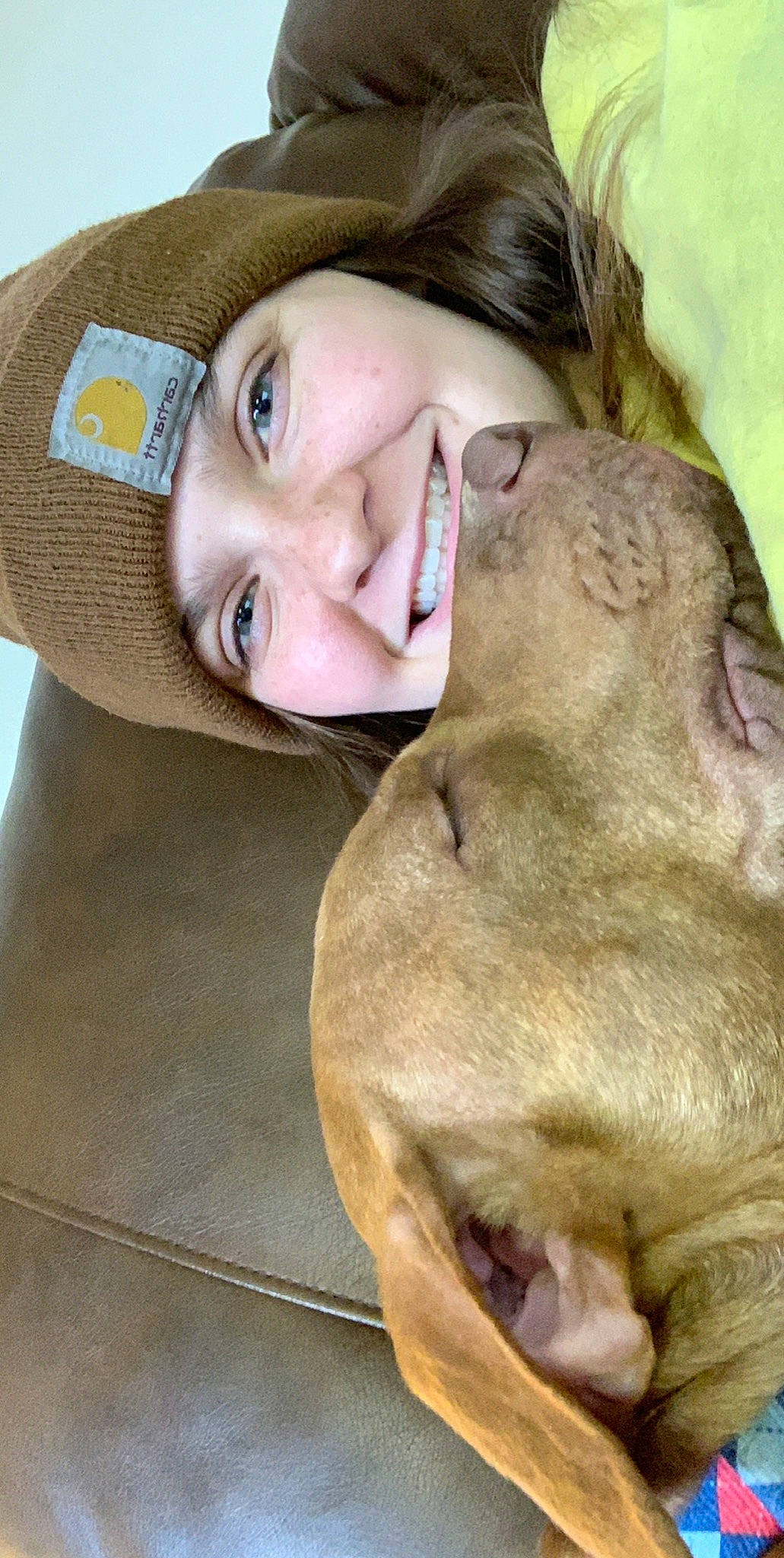 Jax joined the competition — help win amazing prizes! blond, carnivore, ear, eye, face, gesture, glasses, happy, head, jaw, lip, mouth, neck, nose, skin, smile, snout, terrestrial_animal, working_animal, wrinkle