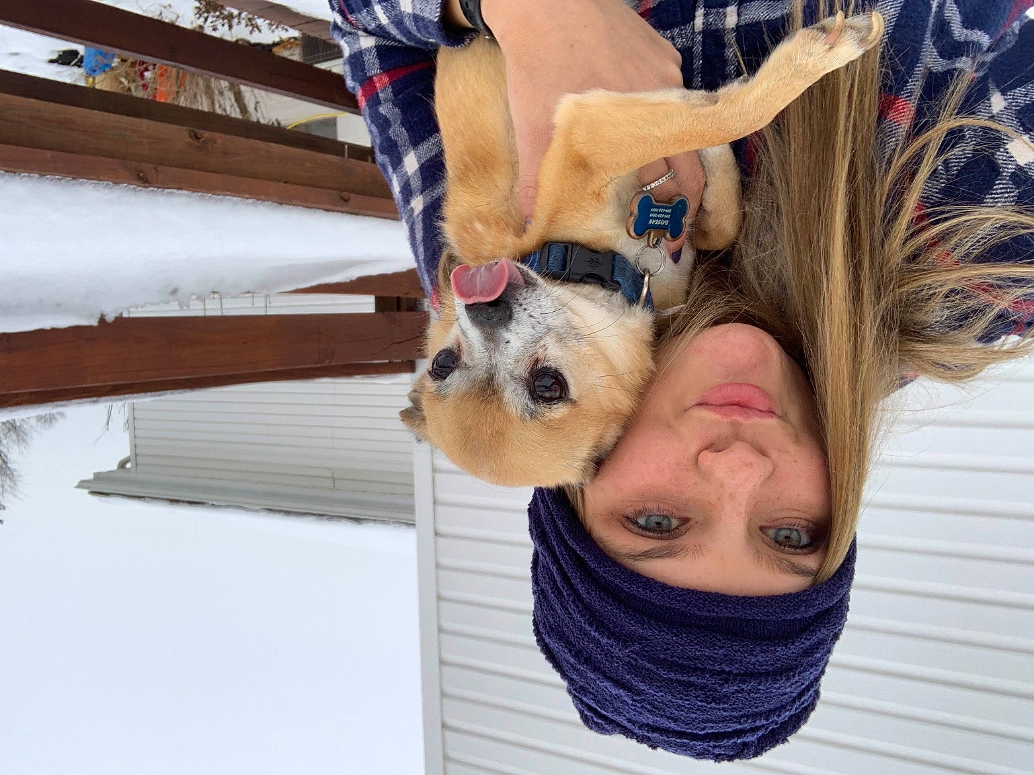 Daysean is registered to the contest to win money with this photo: carnivore, companion_dog, dog, dog_breed, eyewear, fawn, fun, fur, gesture, goggles, happy, leisure, recreation, selfie, smile, snow, sporting_group, sunglasses, winter, wood