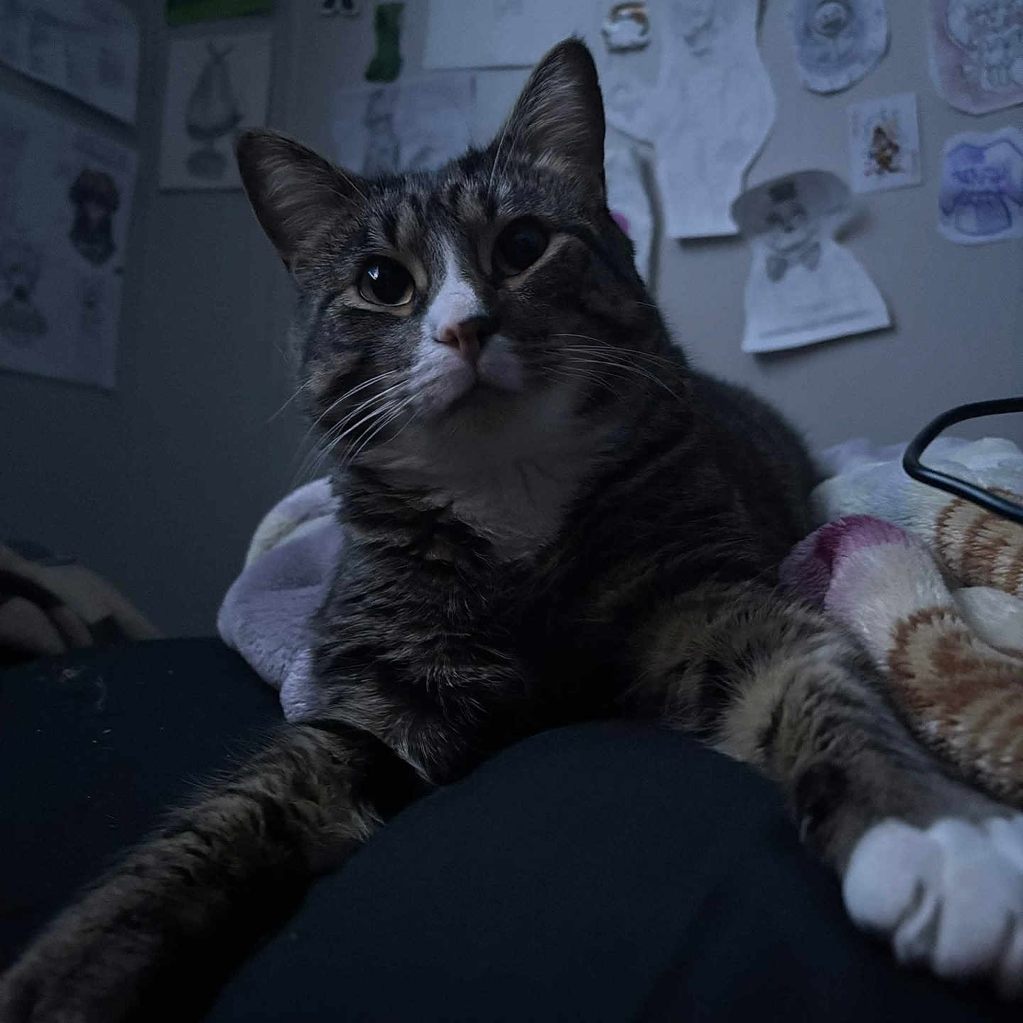 Loki