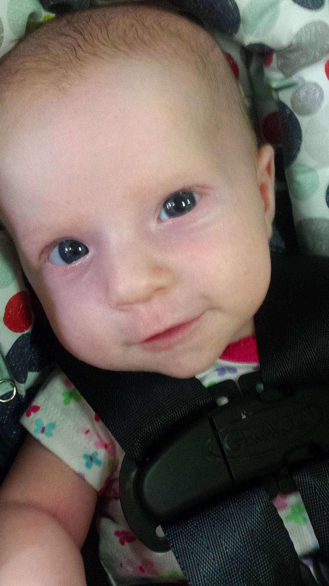 Karma is registered to the contest to win money with this photo: black_hair, boy, cheek, child, chin, cool, ear, eye, eyebrow, face, forehead, girl, head, infant, lip, mouth, nose, person, skin, smile