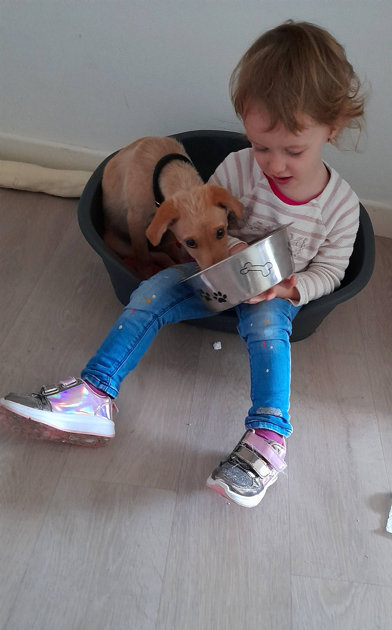 Lydia a rejoint le concours — aidez-le/la à gagner de superbes lots ! child, floor, leg, person, toddler