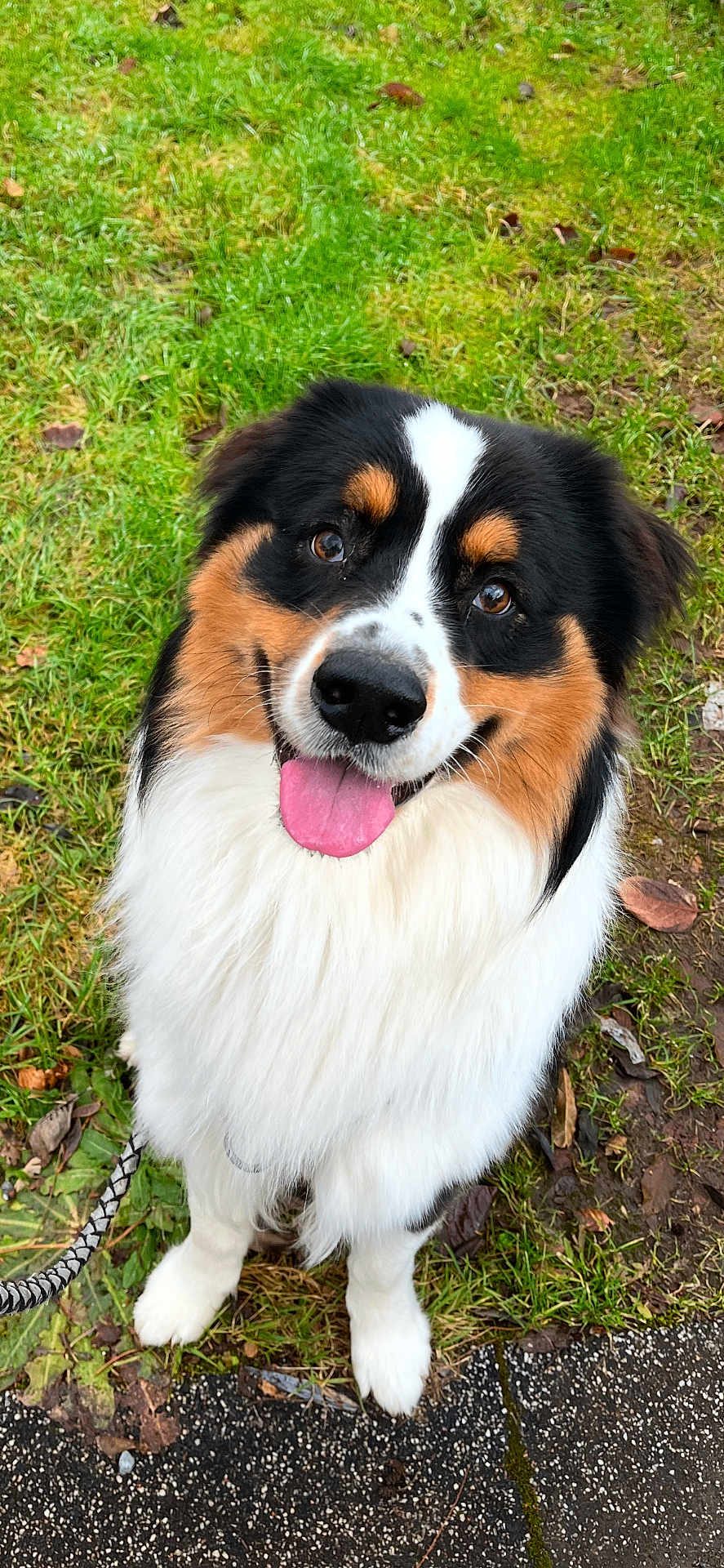 Milo