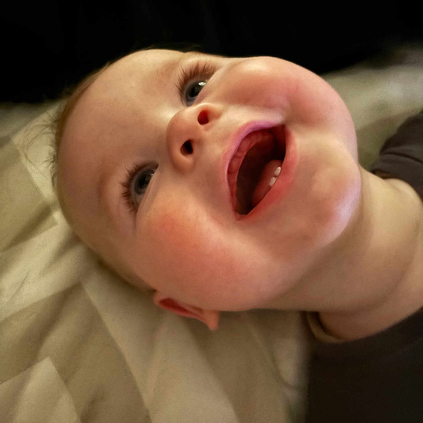 Kurtis is registered to the contest to win money with this photo: baby, babylaughing, bodypart, face, finger, hand, happy, head, laughing, mouth, newborn, person, photography, portrait, smile, teeth