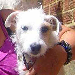 Pippa joined the competition — help win amazing prizes!