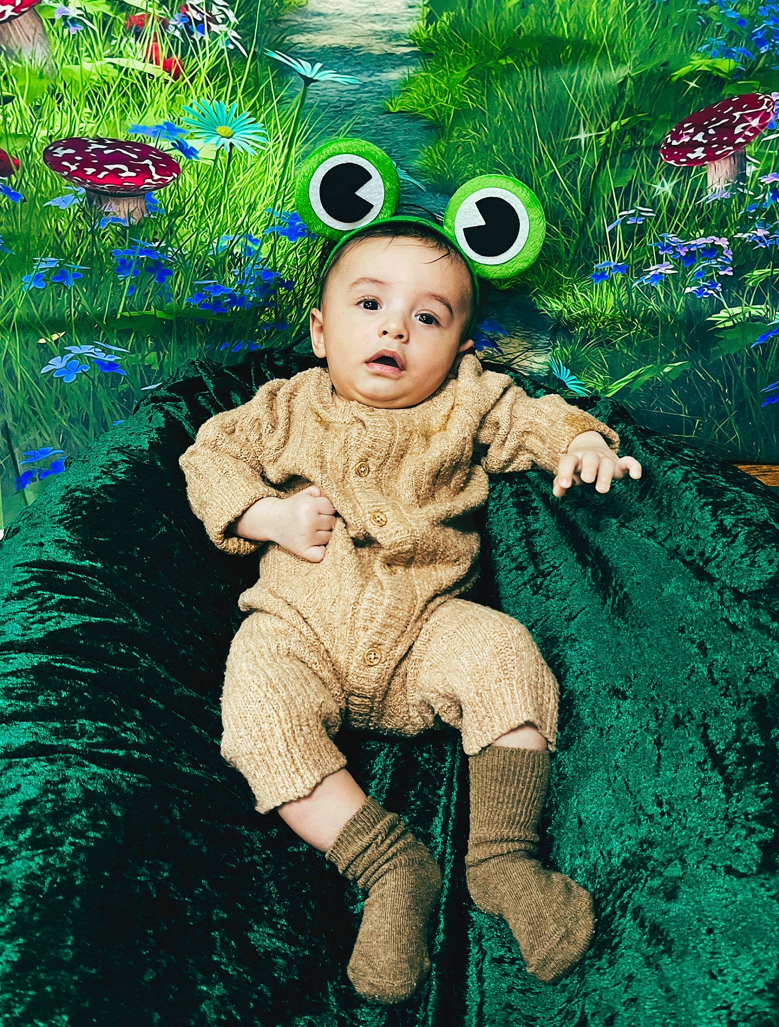 Theo is registered to the contest to win money with this photo: art, baby, baby_toddler_clothing, child, fictional_character, fir, fun, grass, green, happy, pattern, people_in_nature, person, photo_caption, plant, portrait_photography, sitting, terrestrial_plant, toddler, tree