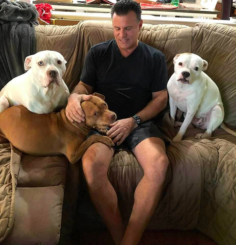 Nico is registered to the contest to win money with this photo: canidae, carnivore, chair, comfort, companion_dog, couch, dog, dog_breed, fawn, lap, leisure, mammal, puppy_love, sitting, smile, snout, sporting_group, thigh, toy_dog, working_animal