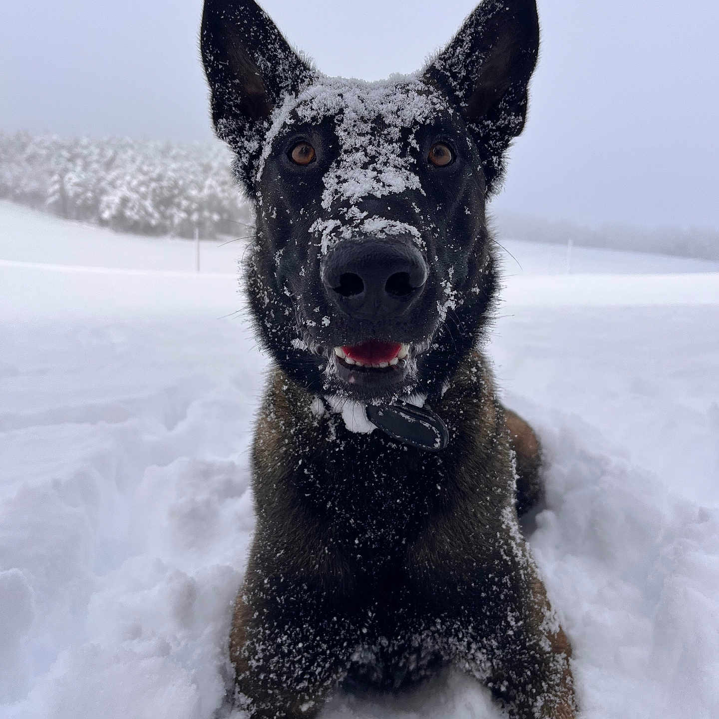 Uzko