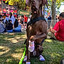 animal, brown_dog, canine, casual_clothing, crowd, daylight, dog, dog_boots, event, festival, grass, leash, outdoor, people, pet_accessories, pink_hat, pink_shoes, shade, sitting, trees