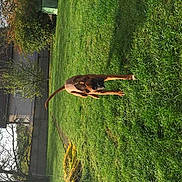 Joyce participe au concours pour gagner de l'argent avec cette photo :