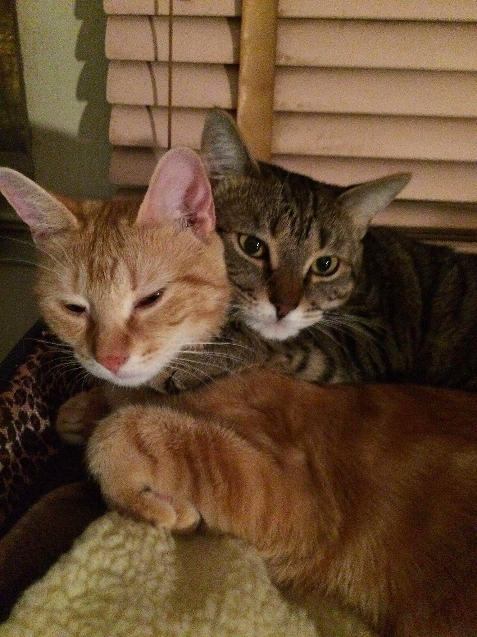 Precious And Peaches