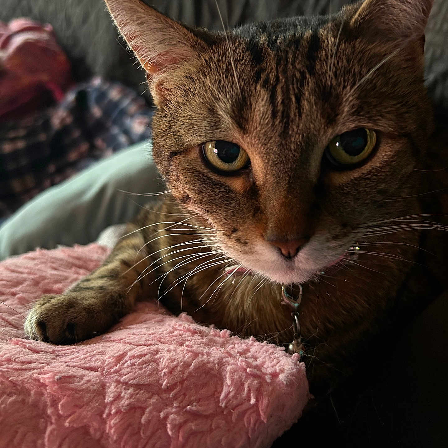 Precious