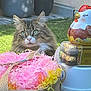 Shadow participe au concours pour gagner de l'argent avec cette photo : cat, tabby_cat, green_eyes, basket, shredded_paper, easter_decorations, garden, potted_plants, outdoor, sunlight, festive, colorful, decor, animal, pet, grass, flower_pot, cute, spring, holiday