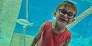 Lorenzo participe au concours pour gagner de l'argent avec cette photo : aquarium, boy, casual, child, cute, fish, glass, glasses, happy, indoor, pebbles, portrait, red_clothing, rocks, rope, shorts, smiling, standing, tank, water