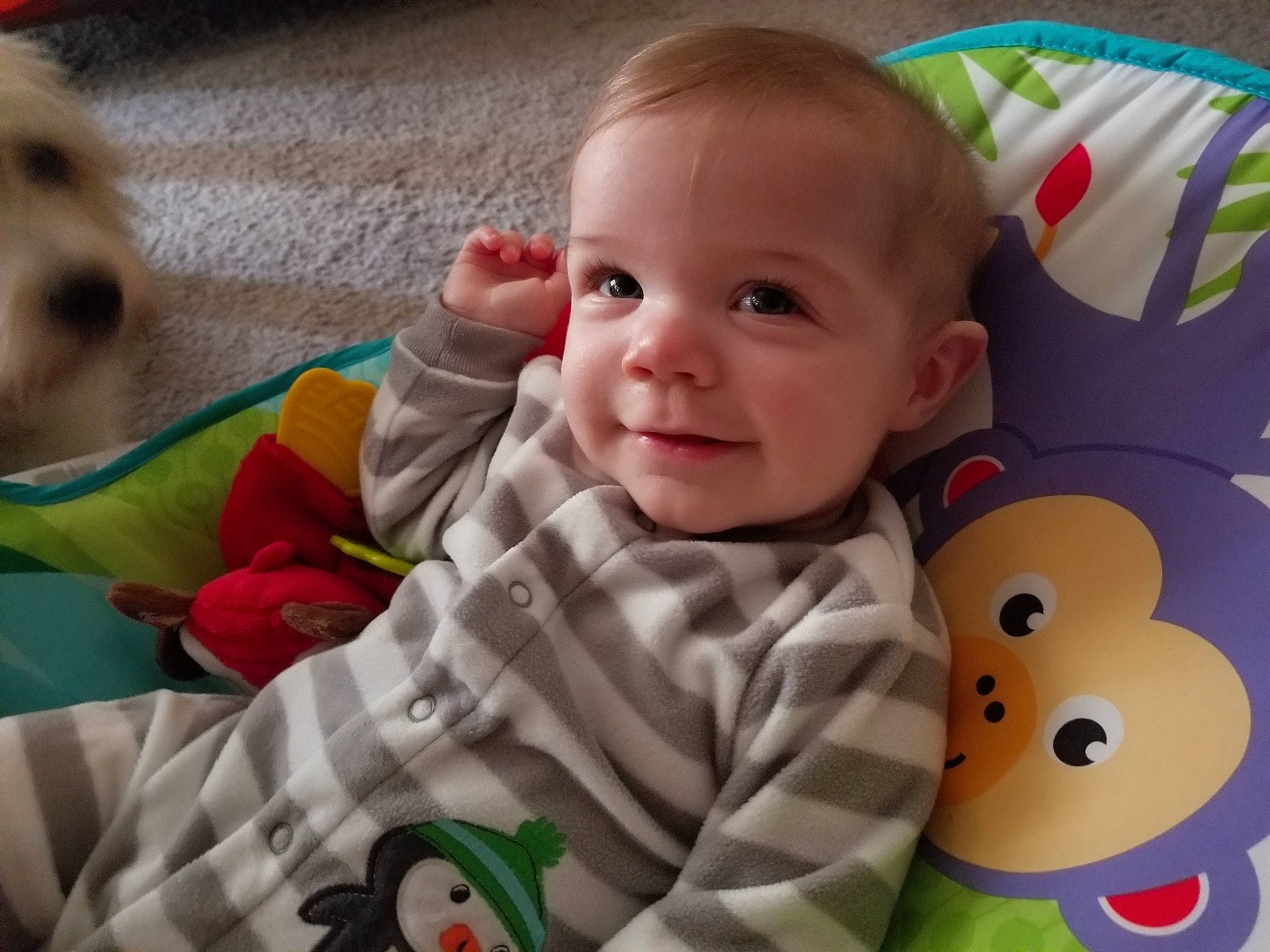 Jagger is registered to the contest to win money with this photo: boy, cheek, child, day, eye, face, facial_expression, fun, head, infant, joy, mouth, nose, organ, person, play, product, skin, smile, textile