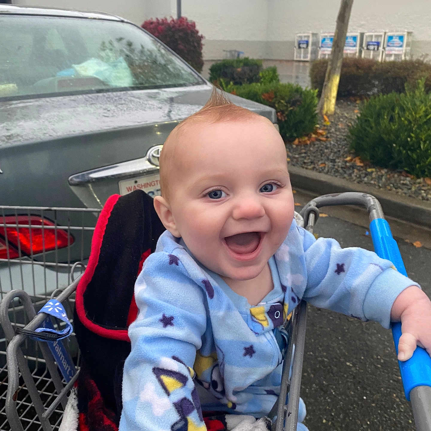 Zander is registered to the contest to win money with this photo: baby, blue_onesie, car, child, clothing, cute, expression, happy, holding, infant, joyful, mohaawk_hairstyle, outdoor, parking_lot, person, rain, seat, shopping_cart, smiling, wet_surface