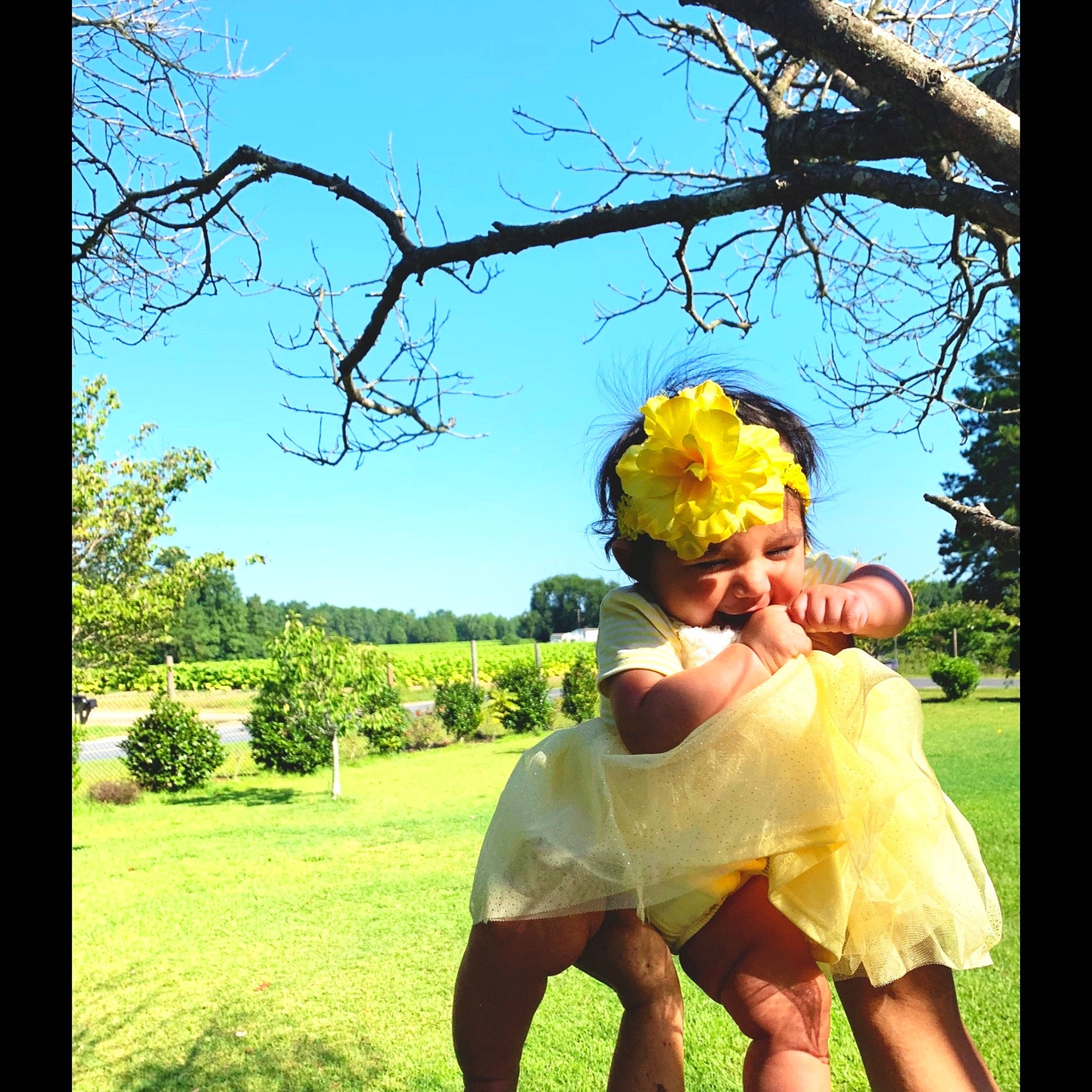 Ariadne is registered to the contest to win money with this photo: happy, joy, people_in_nature, person, photography, plant, stock_photography, tree, yellow