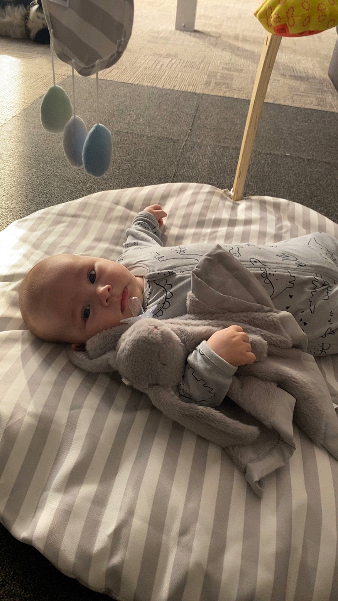 Arlo is registered to the contest to win money with this photo: baby, baby_products, baby_sleeping, baby_toddler_clothing, bedding, bedtime, child, comfort, flooring, foot, human_leg, linens, nap, pattern, person, room, sitting, sleep, tints_and_shades, toddler