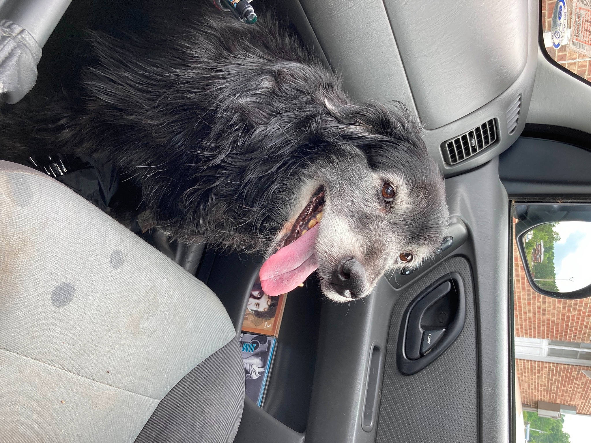 Charity joined the competition — help win amazing prizes! auto_part, automotive_design, automotive_exterior, automotive_lighting, automotive_mirror, automotive_side_view_mirror, automotive_window_part, car, carnivore, companion_dog, dog, dog_breed, family_car, luxury_vehicle, motor_vehicle, rear_view_mirror, snout, sporting_group, vehicle, vehicle_door