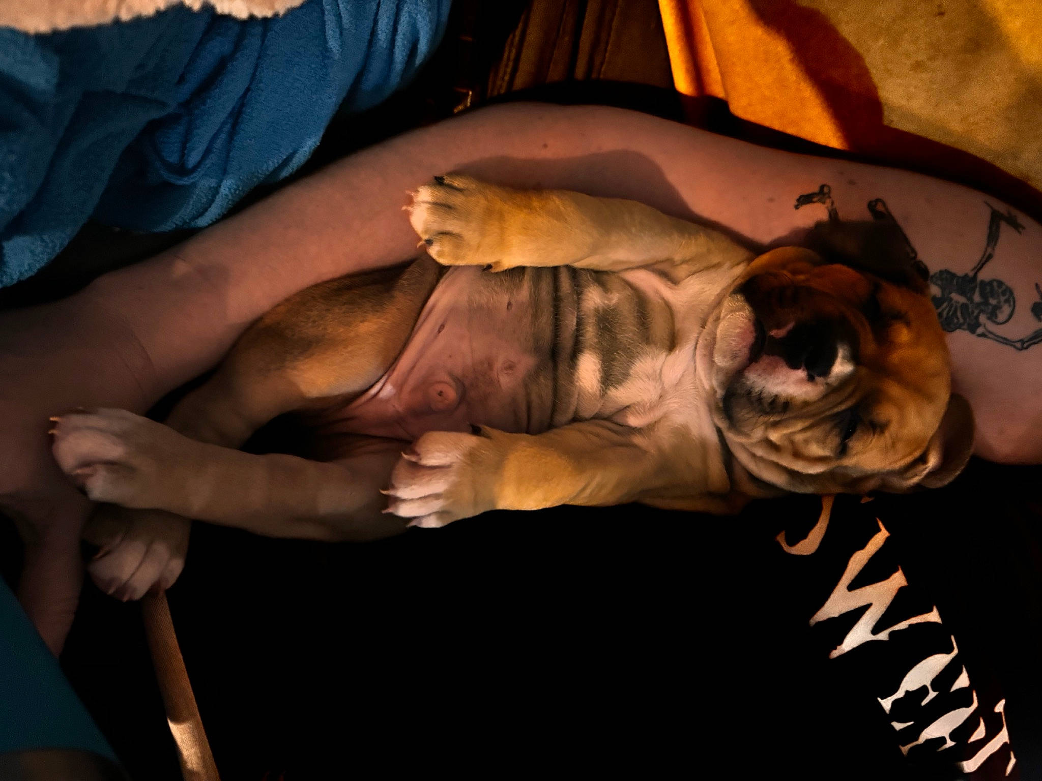 Nugget is registered to the contest to win money with this photo: abdomen, art, chest, comfort, elbow, event, fawn, flesh, fun, gesture, human_body, human_leg, religious_item, room, sculpture, sleeve, statue, trunk, wood, wrist