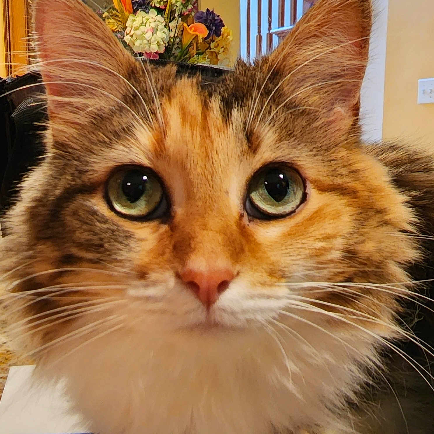 Ella