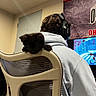 Hulk is registered to the contest to win money with this photo: animal, black_cat, cat, chair, computer_screen, cute, furniture, gamer, gaming, headphones, home, hoodie, indoors, kitten, office_chair, person, pet, playful, seated, video_game