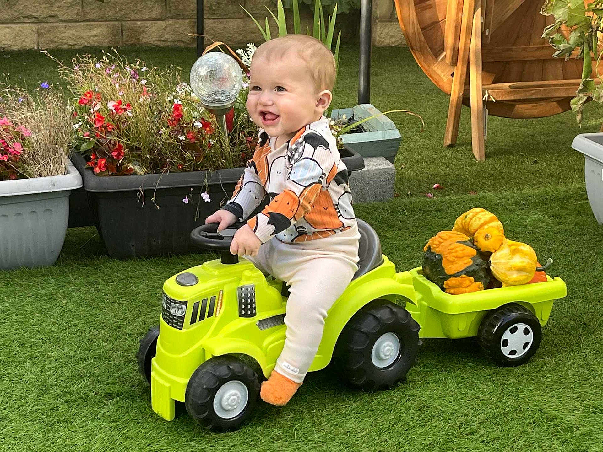 Bowie joined the competition — help win amazing prizes! baby, child, toy, tractor, gourds, pumpkins, greenery, grass, garden, flowers, potted_plants, outdoor, smiling, happy, sitting, play, colorful, footwear, furniture, nature