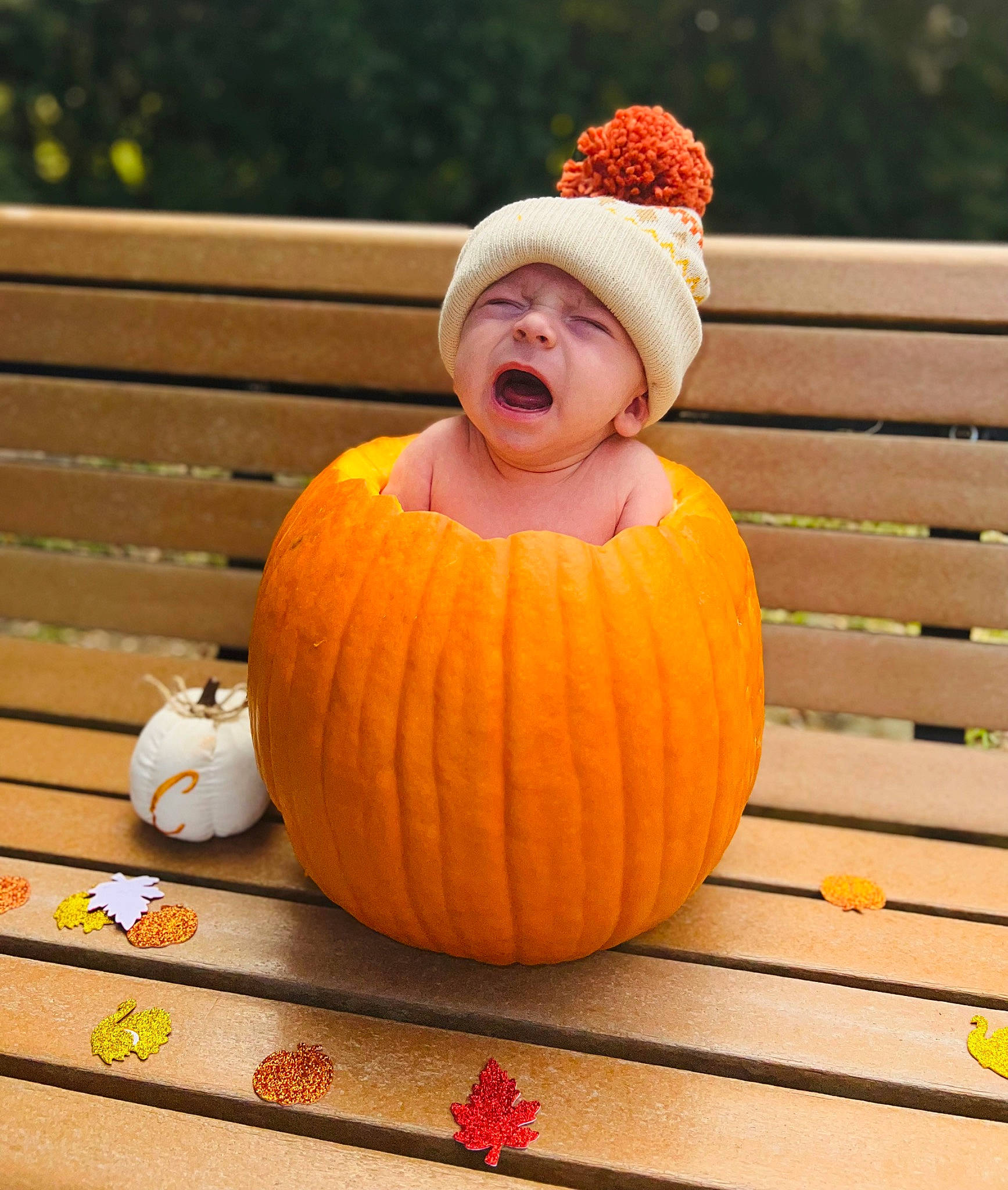 Camden joined the competition — help win amazing prizes! calabaza, cap, cucurbita, eye, fruit, gourd, grass, happy, head, headwear, human_body, natural_foods, orange, person, plant, pumpkin, smile, squash, toddler, vegetable
