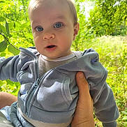 Gabriel a rejoint le concours — aidez-le/la à gagner de superbes lots ! baby, blue_eyes, casual_clothing, child, curious, cute, daylight, exploration, face, greenery, hand, holding, hoodie, infant, nature, outdoor, person, portrait, soft_lighting, young_child
