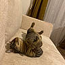 cat, tabby_cat, pet, animal, sleeping, relaxed, upside_down, sprawled, armchair, chair, upholstery, cozy, indoor, living_room, feline, striped_fur, tail, paws, whiskers, warm_lighting