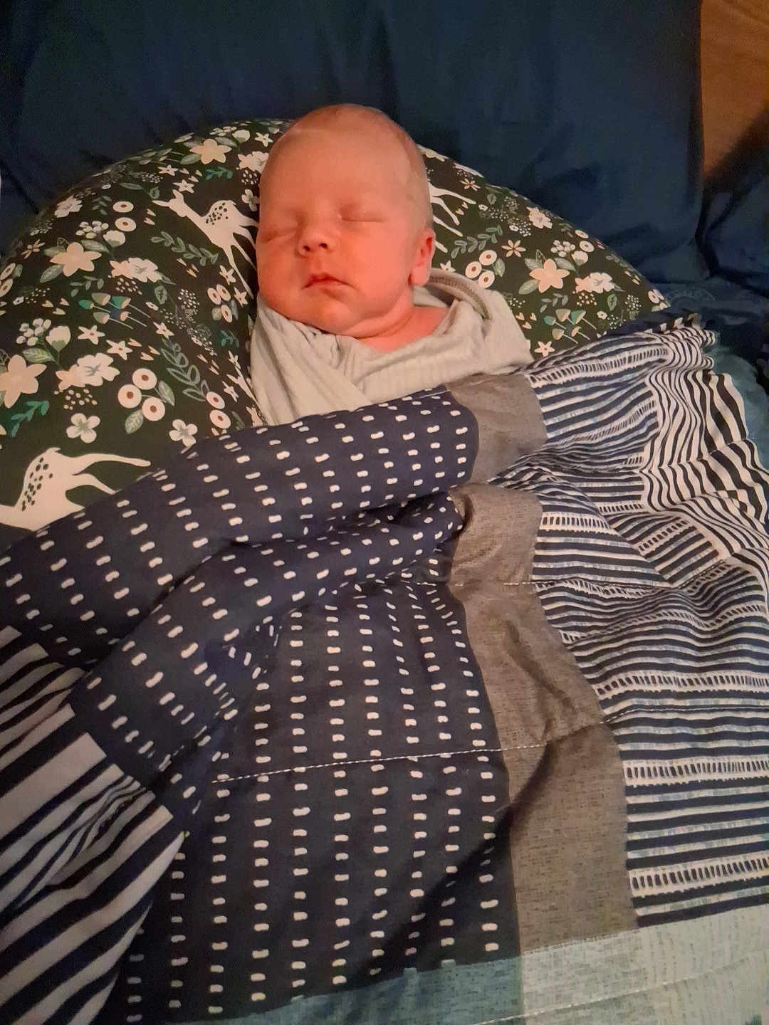 Evan joined the competition — help win amazing prizes! newborn, baby, sleeping, blanket, cushion, patterned, floral, face, head, cozy, indoor, child, peaceful, wrapped, soft_lighting, portrait, resting, infant, cute, comfort