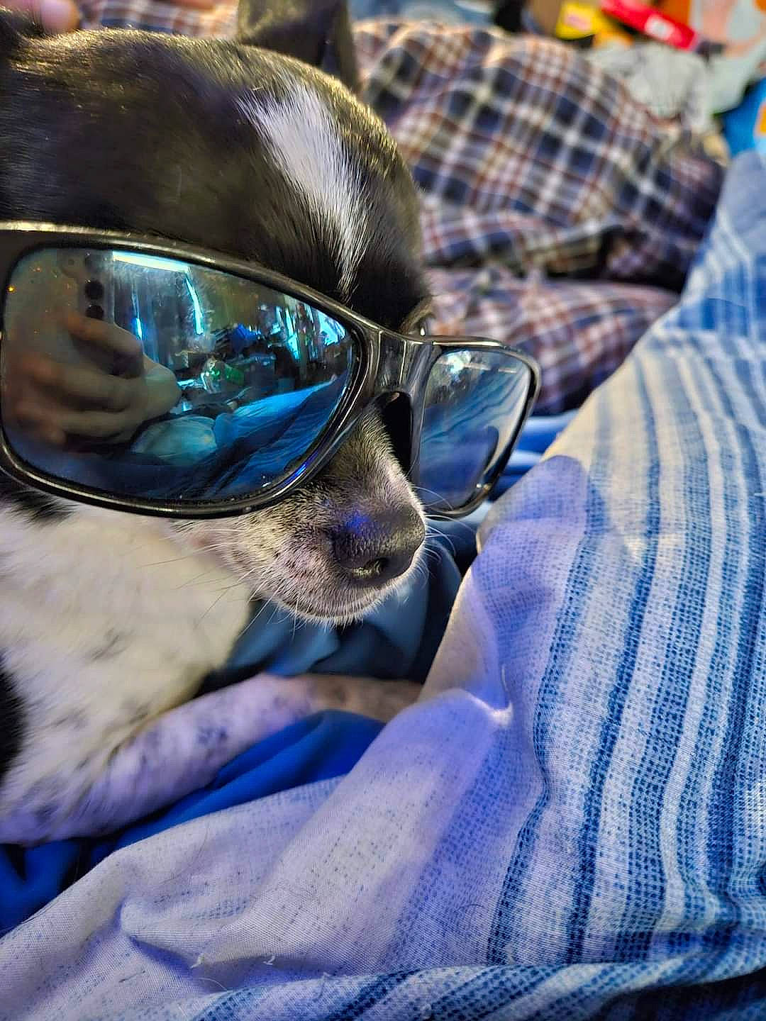 Oreo