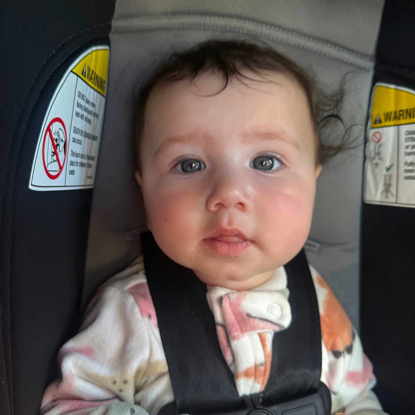 Eliyanah Jade joined the competition — help win amazing prizes! baby, blue_eyes, car_seat, child, child_safety, close_up, clothing, cute, face, hair, hand, indoor, infant, onesie, person, portrait, safety_harness, seatbelt, straps, young_child