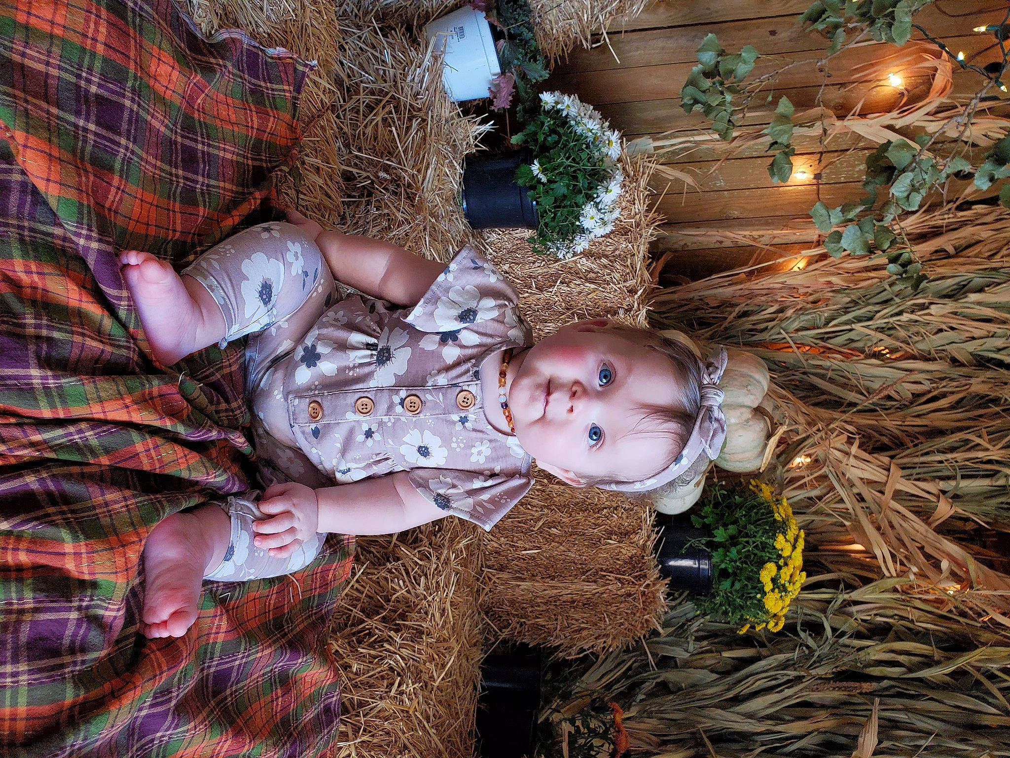 Kezley is registered to the contest to win money with this photo: baby, child, person, plant, straw, toddler, tree, wood