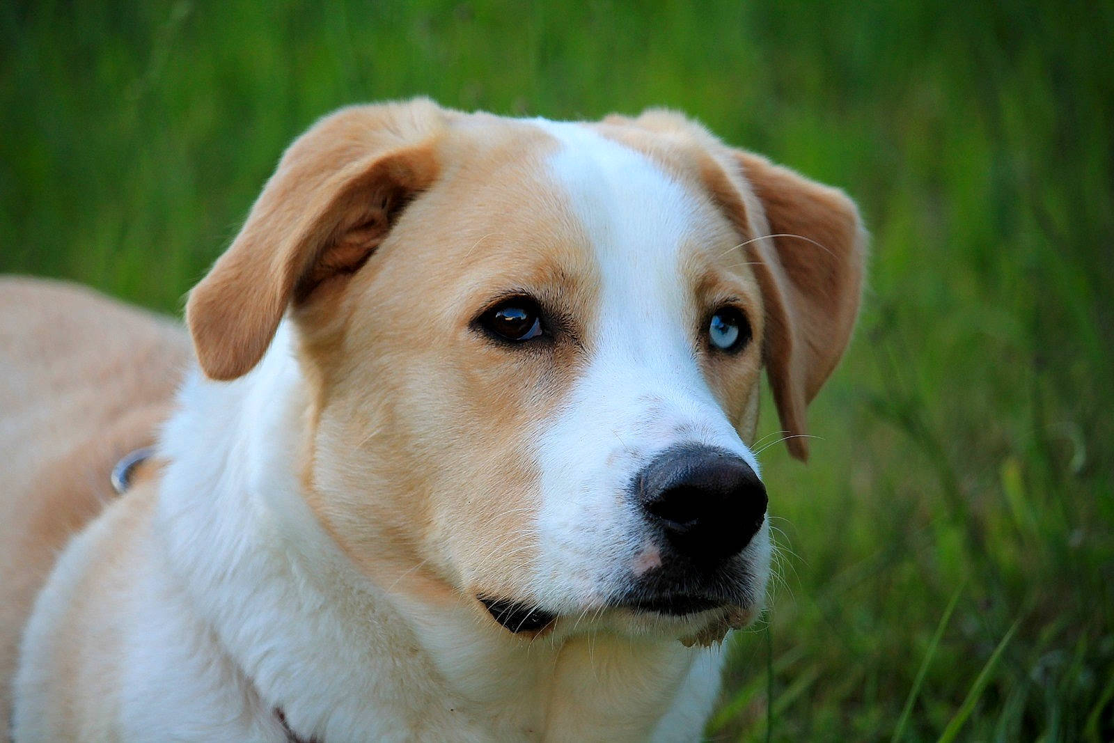 Oscar a rejoint le concours — aidez-le/la à gagner de superbes lots !