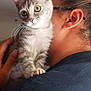 animal, black_shirt, cat, closeup, companionship, curious, cute, domestic_animal, feline, fur, glasses, hand, indoor, kitten, person, pet, portrait, shoulder, whiskers, young_cat