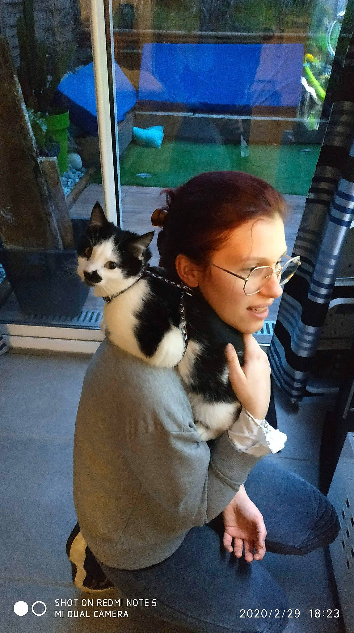 Akela participe au concours pour gagner de l'argent avec cette photo : canidae, carnivore, companion_dog, dog, dog_breed, fawn