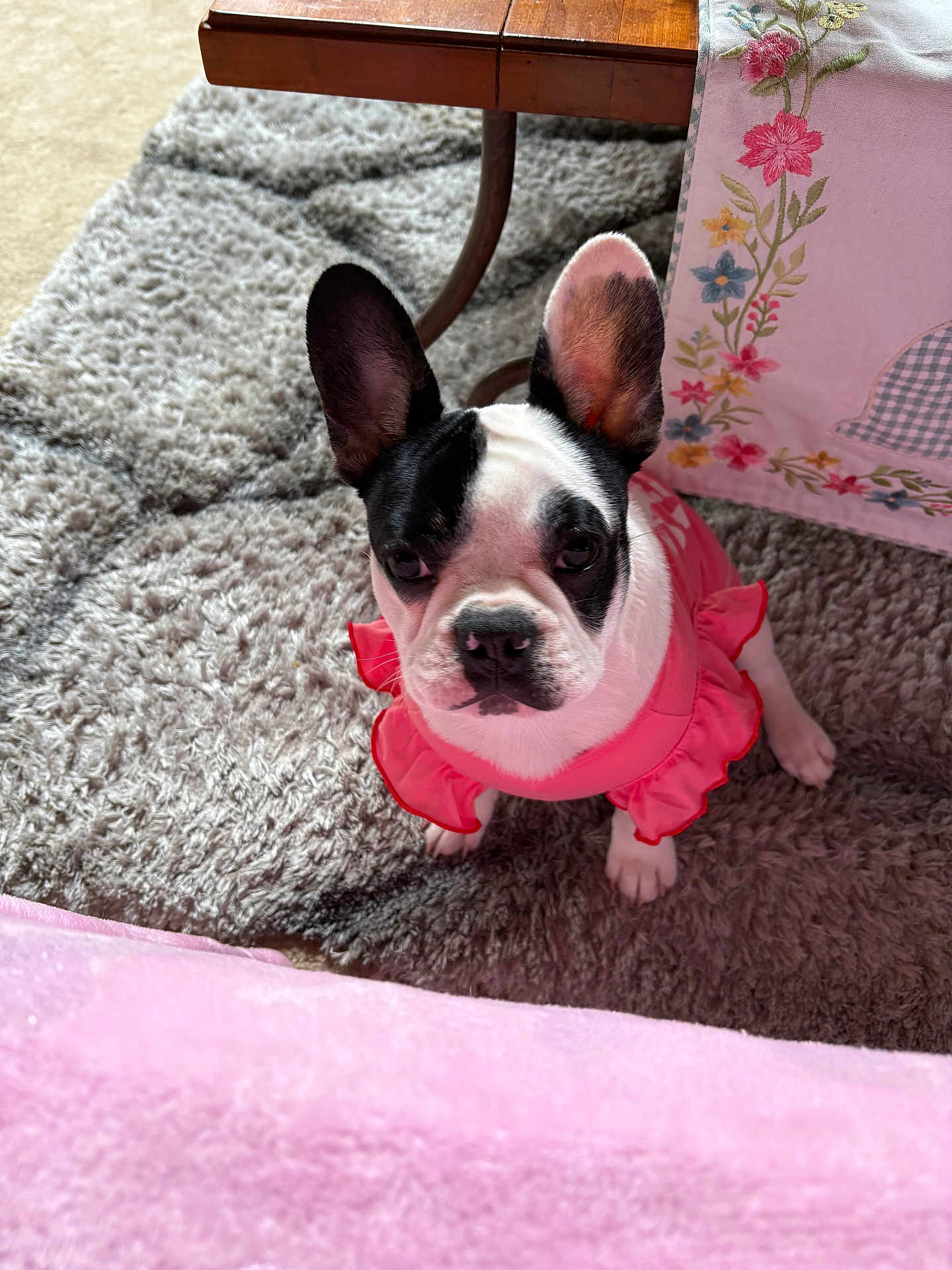 Princess