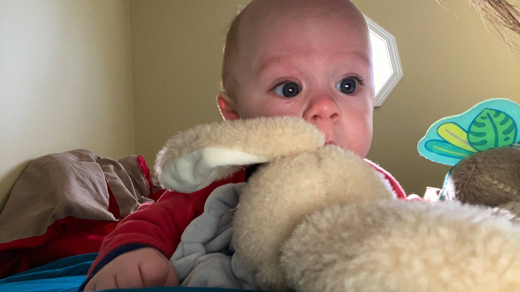 Matteo is registered to the contest to win money with this photo: baby, cheek, child, chin, comfort, ear, fun, fur, happy, linens, mouth, nose, person, plush, room, skin, stuffed_toy, teddy_bear, textile, toddler