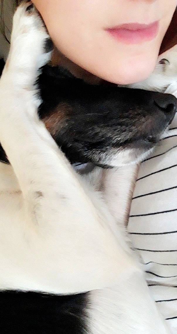 Ilou a rejoint le concours — aidez-le/la à gagner de superbes lots ! beauty, carnivore, companion_dog, dog, dog_breed, ear, elbow, eyelash, fawn, felidae, finger, fur, gesture, human_leg, nail, small_to_medium_sized_cats, snout, trunk, whiskers, wrist