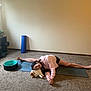 Shanti -Means Peace is registered to the contest to win money with this photo: person, cat, yoga_mat, stretching, carpet, pink_hoodie, indoor, exercise, relaxation, pet, happy, room, plant, window, fitness, casual_clothing, floor, rest, animal, home