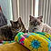Louie And George