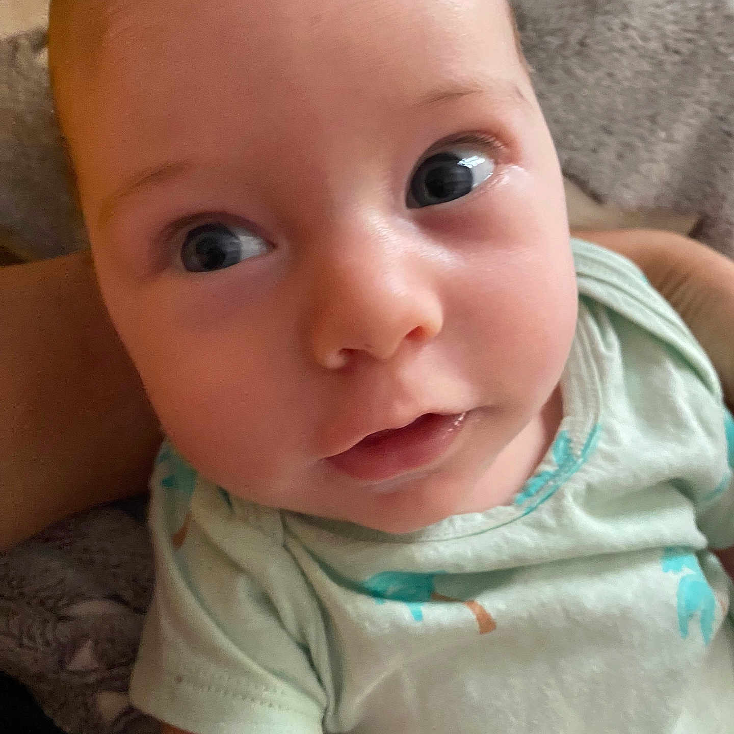 Adan a rejoint le concours — aidez-le/la à gagner de superbes lots ! baby, baby_girl, blanket, child, closeup, clothing, comfort, cute, expression, eyes, face, green_shirt, human, indoors, infant, mouth, newborn, portrait, skin, soft_texture