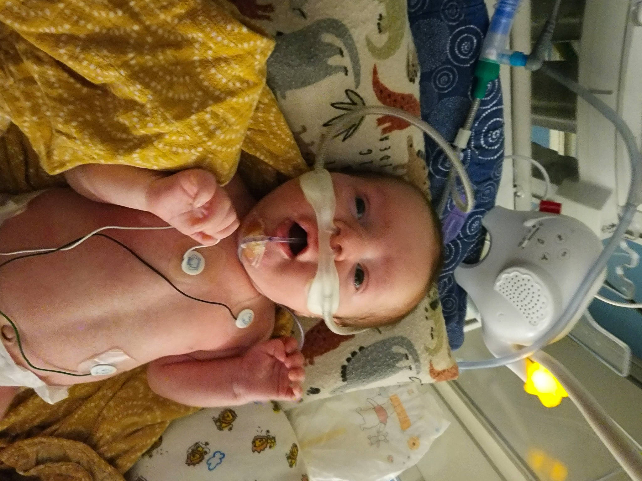 Bellamy joined the competition — help win amazing prizes! baby, baby_products, baby_toddler_clothing, cheek, child, finger, food, gesture, happy, machine, nail, nose, person, room, smile, thumb, toddler