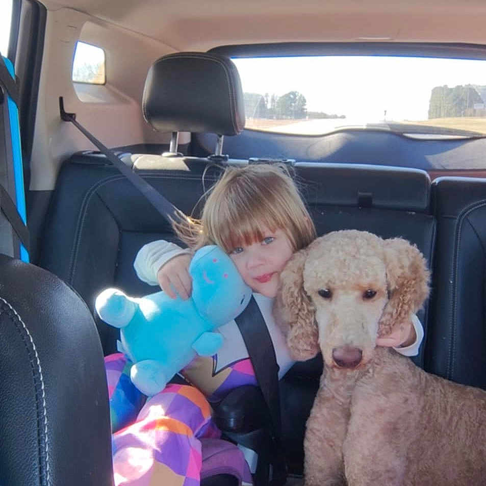 Scarlett joined the competition — help win amazing prizes! animal, architecture, building, canine, child, cushion, dog, face, female, girl, head, homedecor, person, pet, photography, plush, portrait, puppy, purple, toy