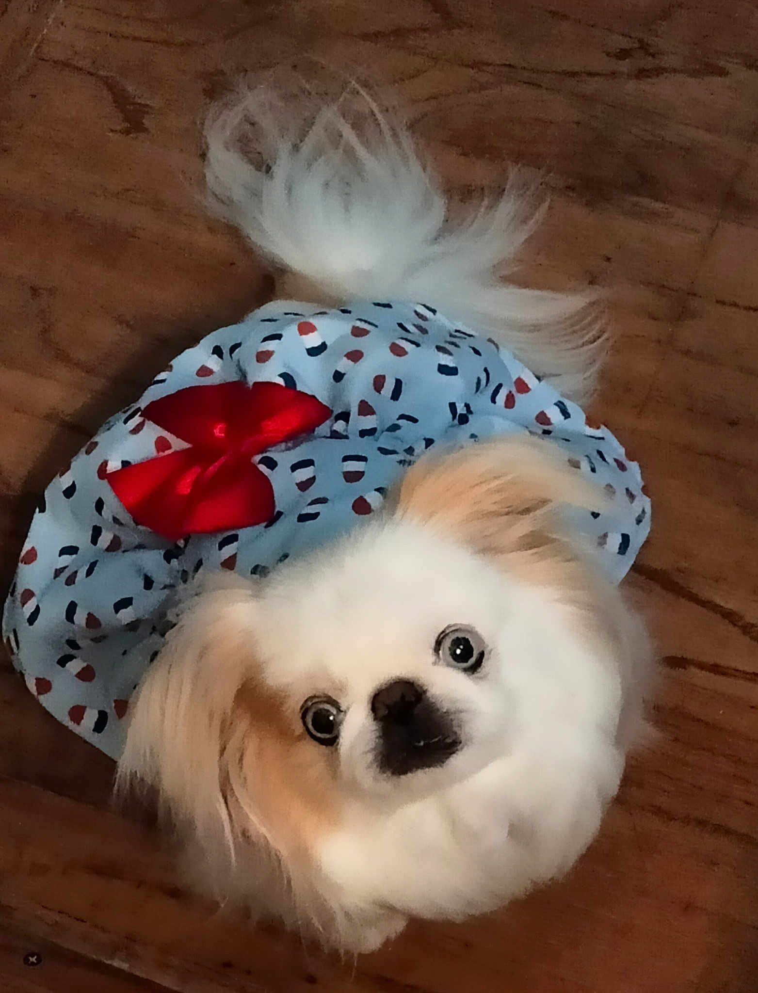 Lucy Lu