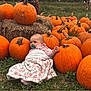 Athena joined the competition — help win amazing prizes! autumn, baby, blanket, child, cozy, cute, fall, flora, grass, greenery, harvest, hay, nature, orange, outdoor, pacifier, person, portrait, pumpkins, seasonal